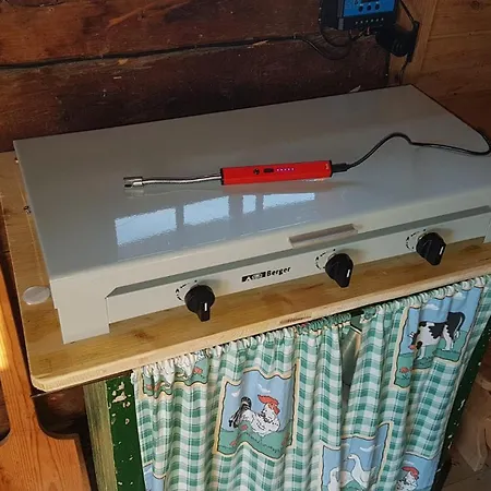 Almhuette Fuer Summer Und Wintersport