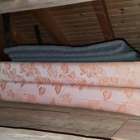 Almhuette Fuer Summer Und Wintersport