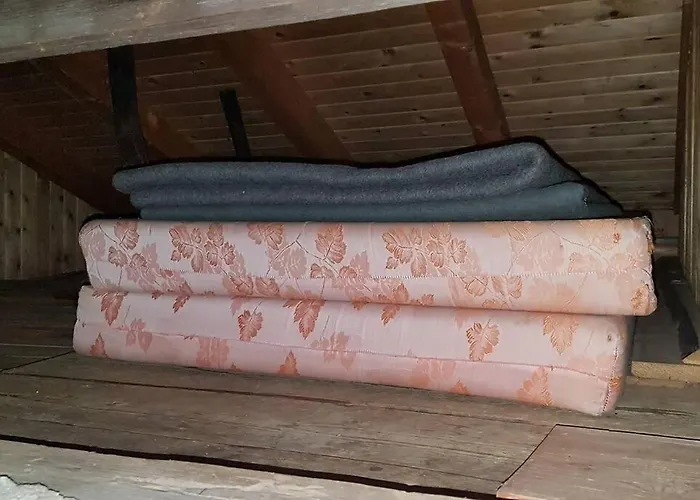 Almhuette Fuer Summer Und Wintersport