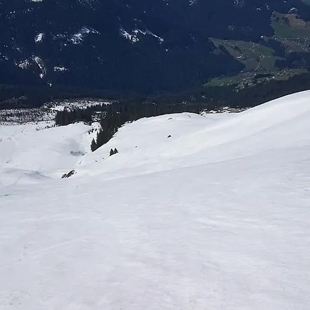 Almhuette Fuer Summer Und Wintersport 別荘 *